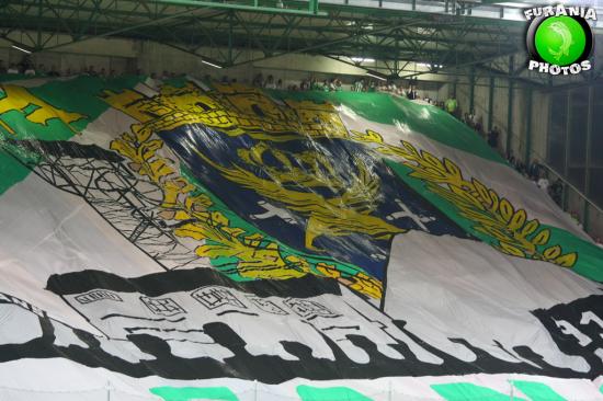 tifo