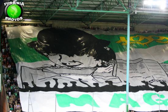 tifo