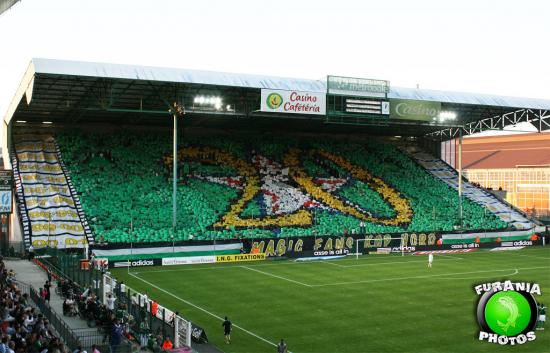 tifo