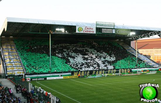 tifo