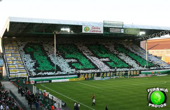 tifo
