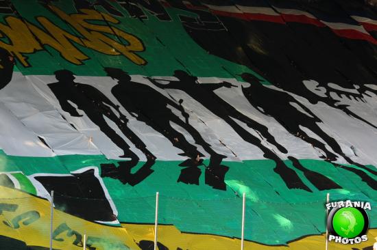 tifo