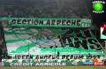 tifo