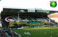 tifo