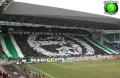 tifo